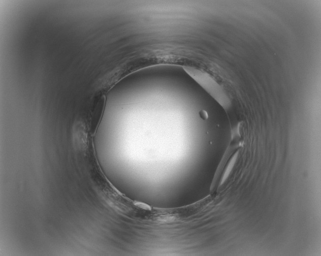 X0000073850456200608312005