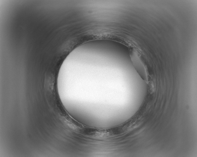 X0000073850458200608312005