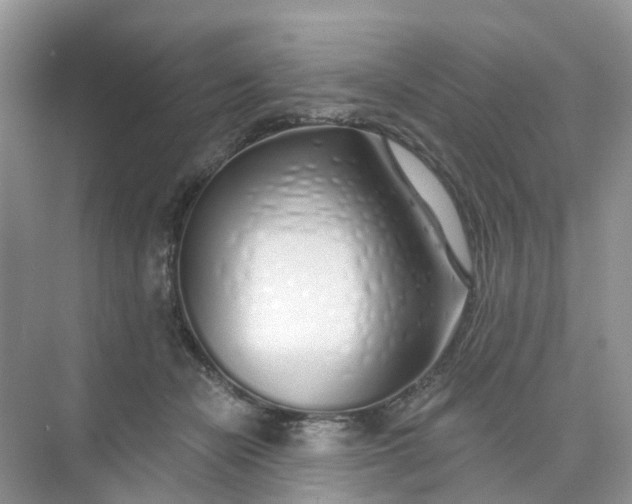 X0000073850462200608312005