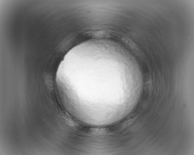 X0000073850469200608312005