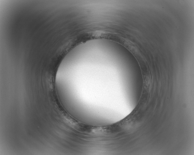 X0000073850470200608312005