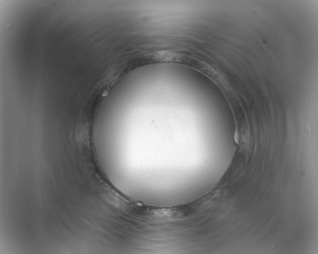 X0000073850473200608312005