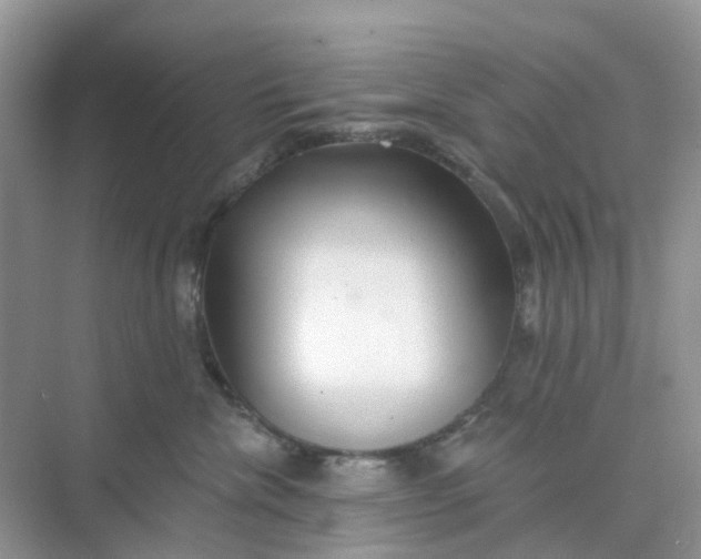 X0000073850476200608312005