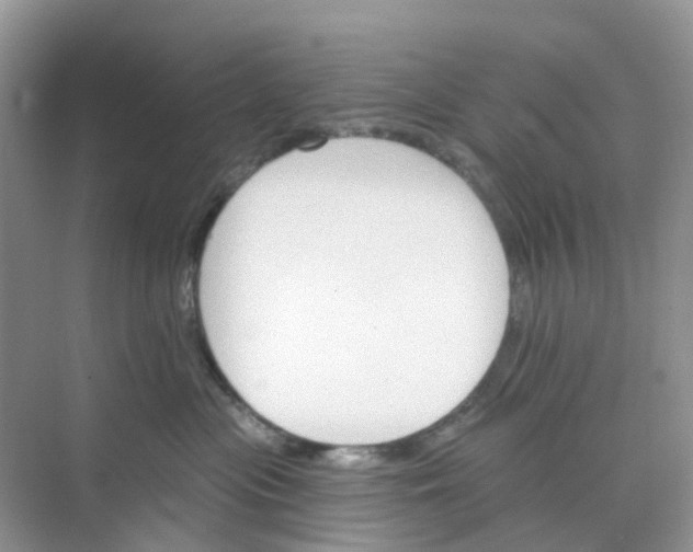 X0000073850477200608312005