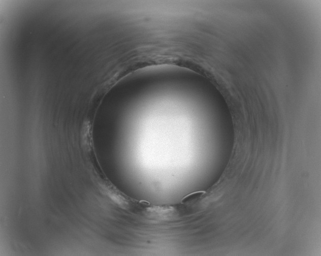 X0000073850480200608312005