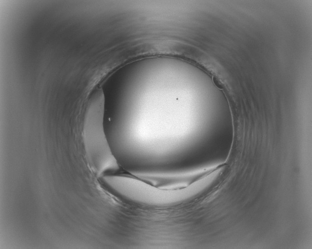 X0000073850481200608312004