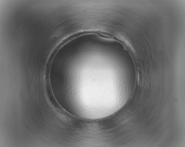 X0000073850483200608312004