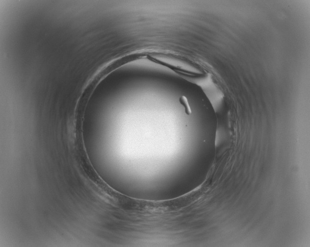 X0000073850484200608312004