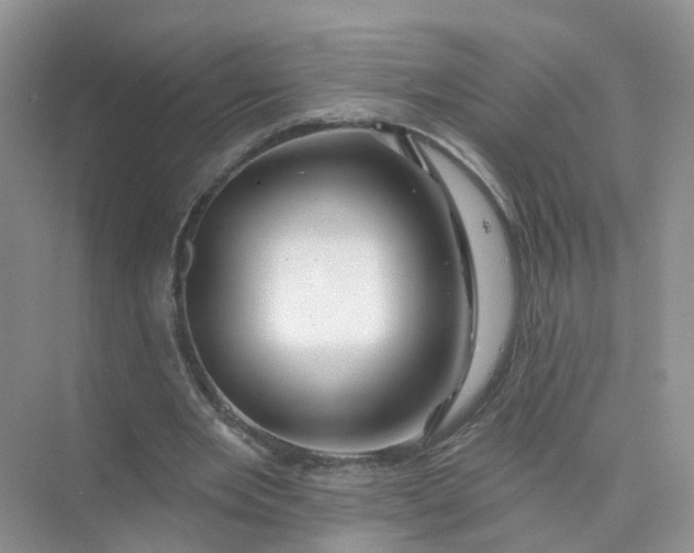 X0000073850485200608312004