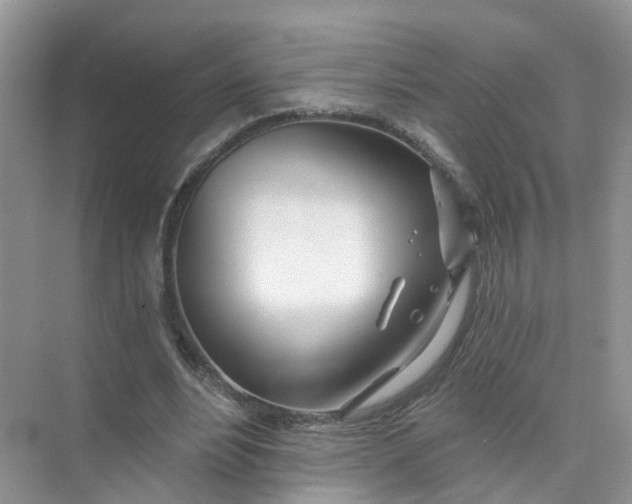 X0000073850488200608312004