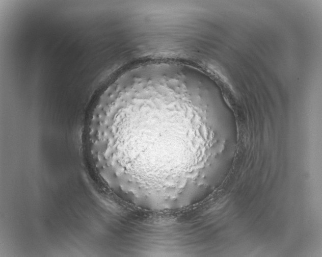 X0000073850491200608312004