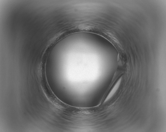 X0000073850492200608312004