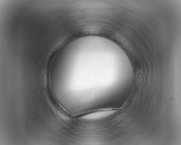 X0000073850494200608312004