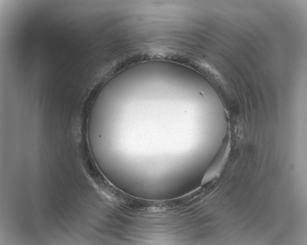 X0000073850496200608312004