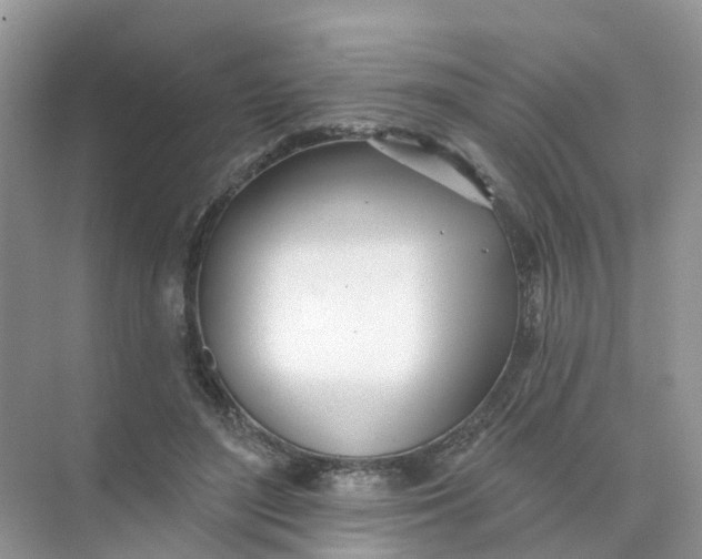 X0000073850500200608312004