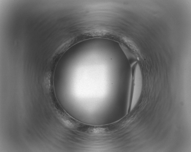 X0000073850501200608312004