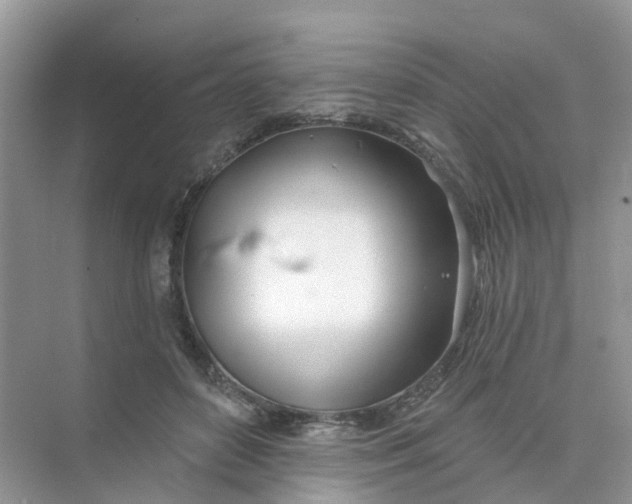 X0000073850504200608312004