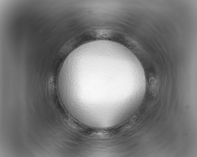 X0000073850506200608312004