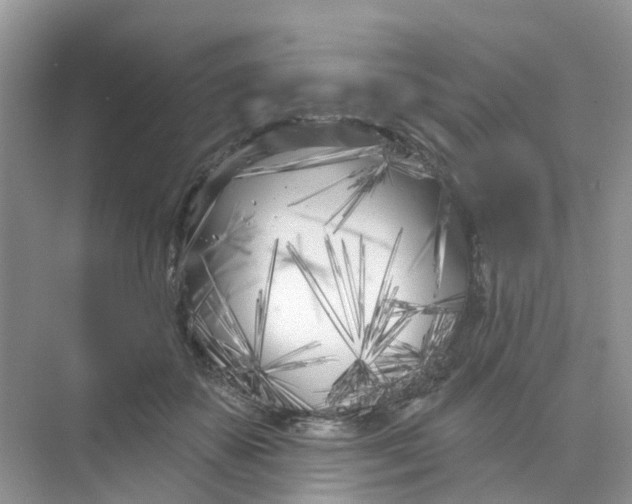 X0000073850507200608312004