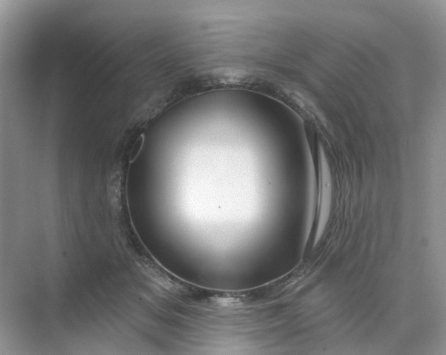 X0000073850509200608312004