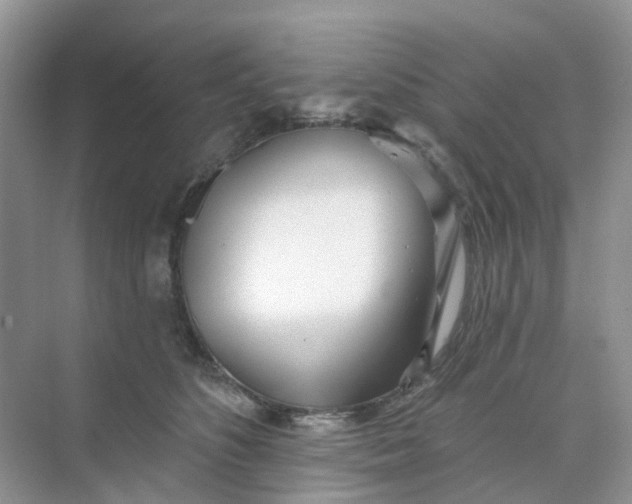 X0000073850516200608312004