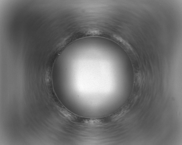 X0000073850517200608312004