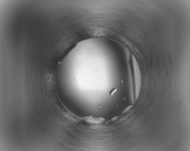 X0000073850521200608312004