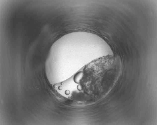 X0000073850527200608312004