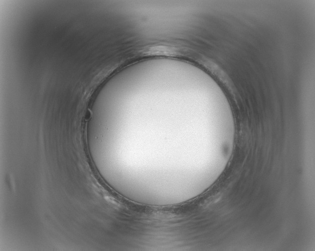 X0000073850529200608312003