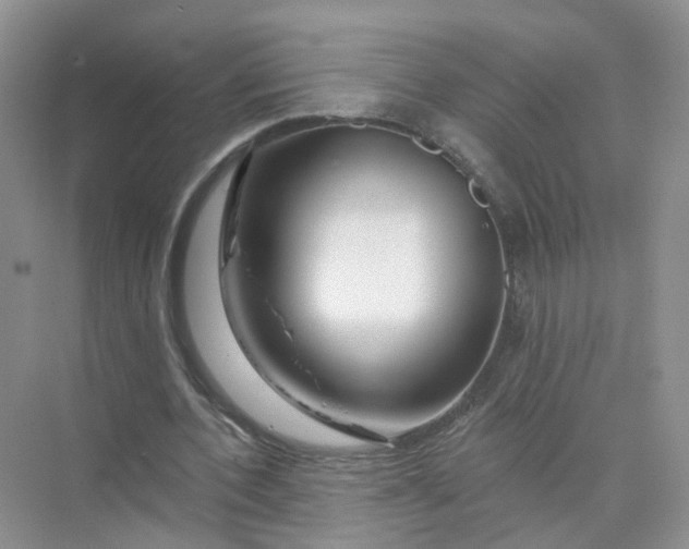 X0000073850532200608312003