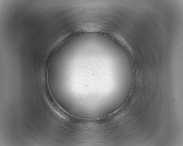 X0000073850533200608312003