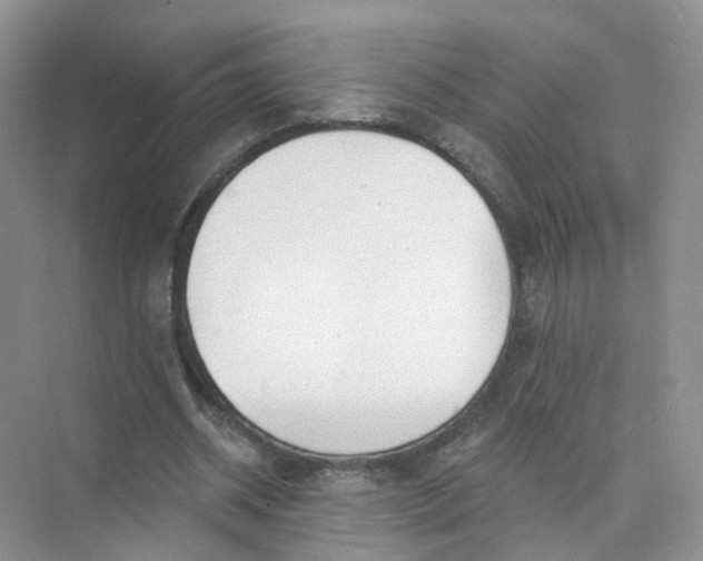 X0000073850534200608312003