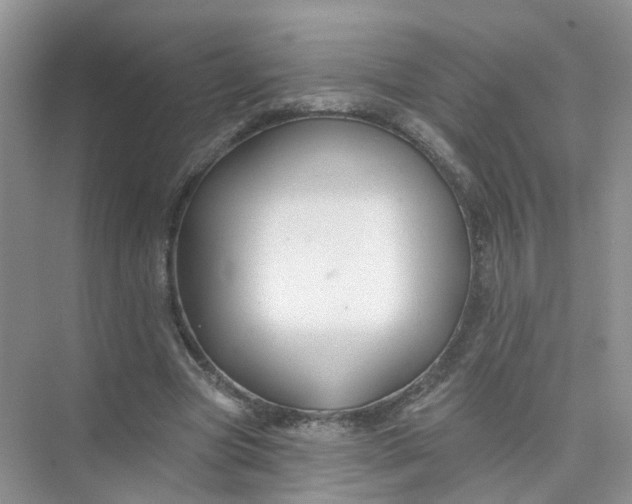 X0000073850537200608312003