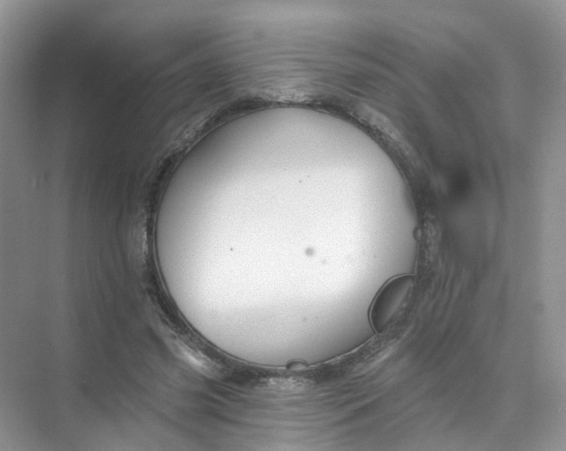 X0000073850541200608312003