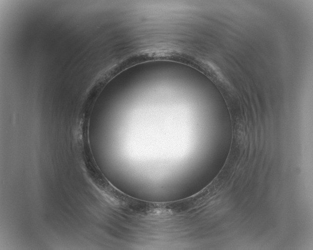 X0000073850543200608312003