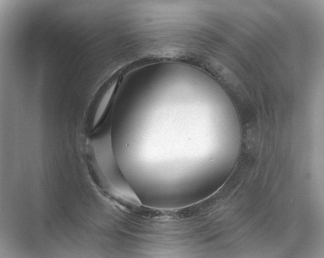 X0000073850544200608312003