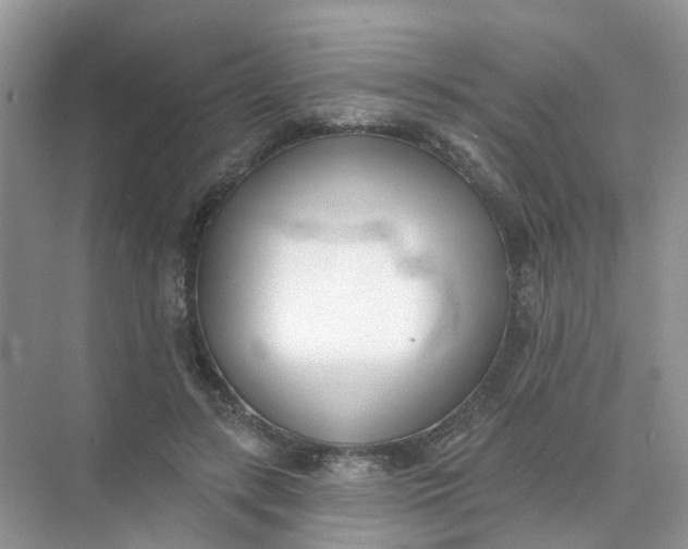 X0000073850547200608312003