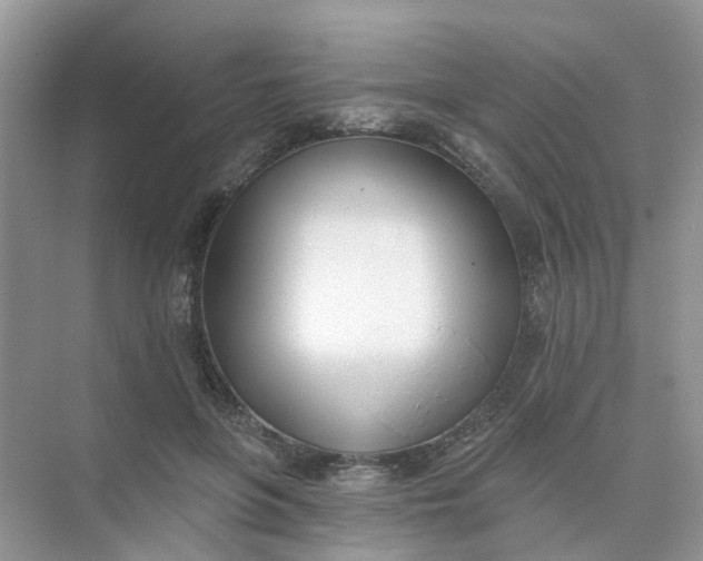 X0000073850551200608312003