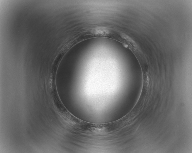 X0000073850552200608312003