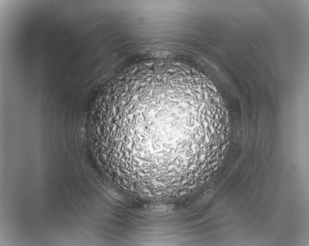 X0000073850553200608312003