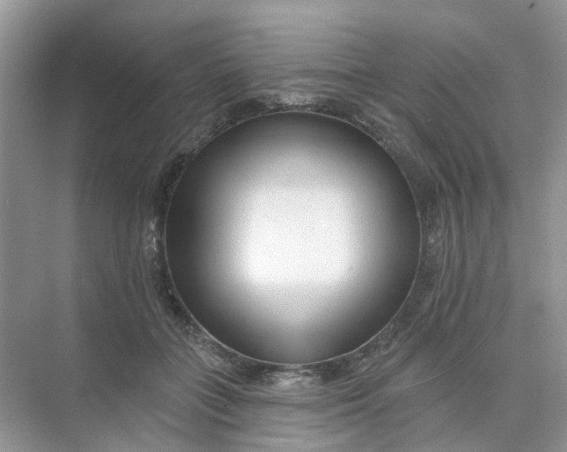 X0000073850555200608312003