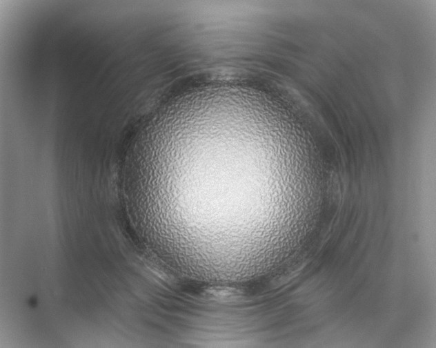 X0000073850557200608312003