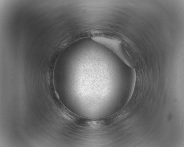 X0000073850558200608312003