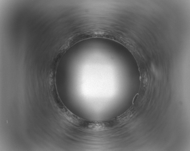 X0000073850559200608312003