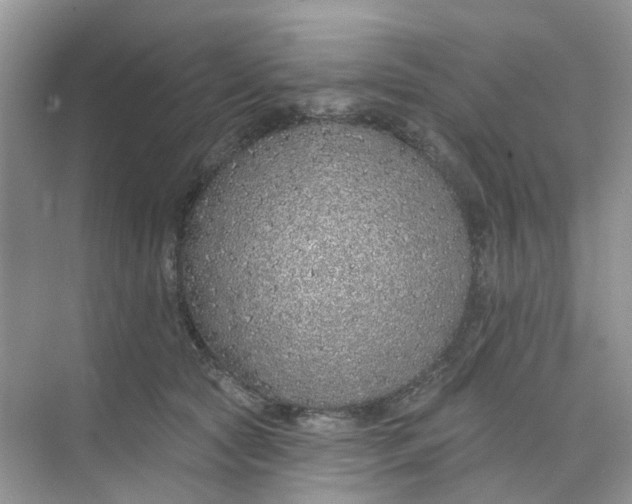 X0000073850561200608312003