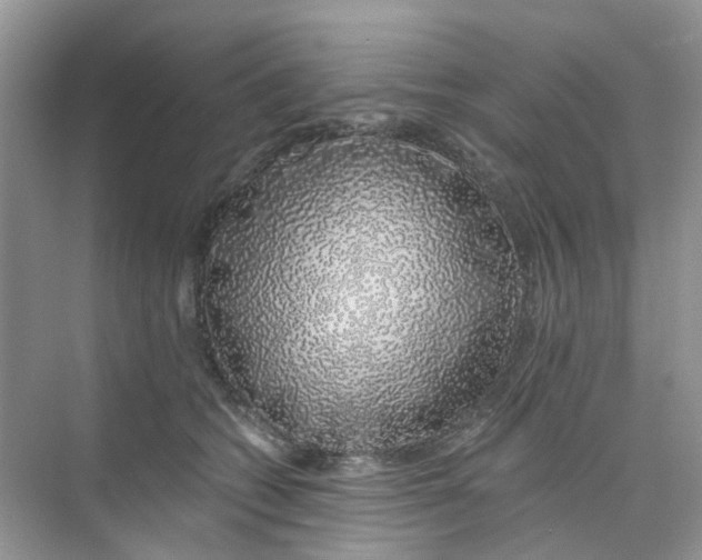 X0000073850562200608312003