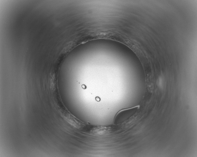 X0000073850563200608312003