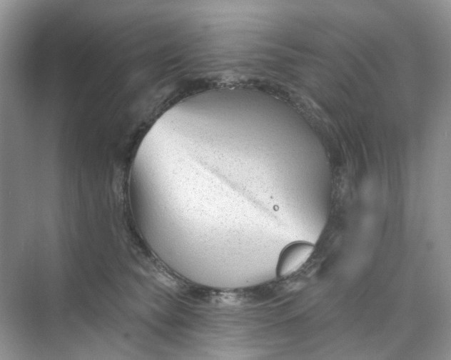 X0000073850565200608312003