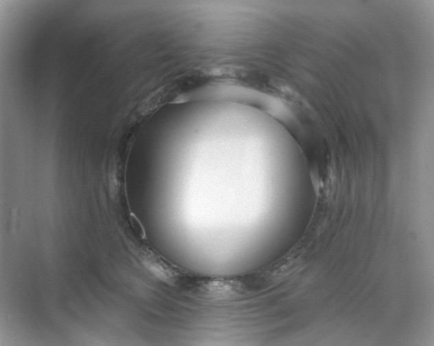 X0000073850566200608312003