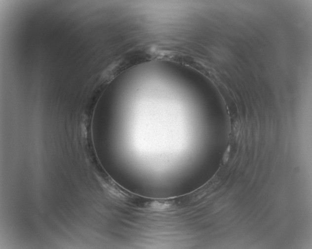 X0000073850570200608312004